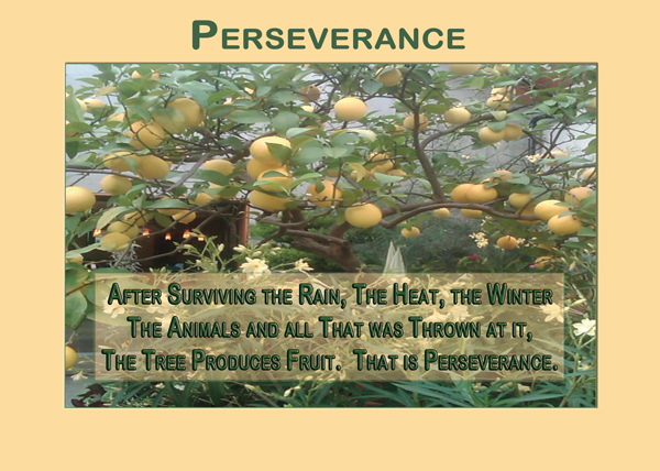 perseverance